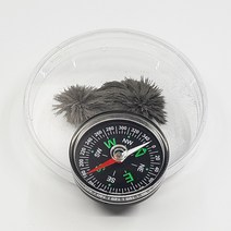 자석 자기장실험 5인용