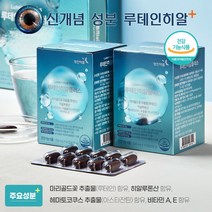 영진약품 루테인히알플러스 120캡슐 4개월분 (눈건강), BOX, 영진약품 루테인히알플러스 120정 4개월분