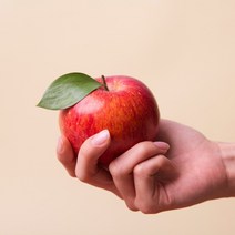 산지직송 당도선별 경북 의성 햇사과, 1박스, 사과 2kg 꼬마