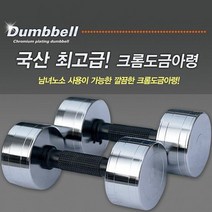 DFK170341[CL]국산 크롬도금아령 10kg 역기 덤벨 헬스용품, 기본, 단품