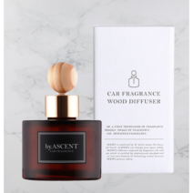 에이센트 차량용 네이처 디퓨저 120ml, 화이트 릴리, 2개