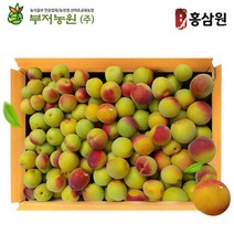 광양 유기농 홍매실 특상품 10kg 1박스 6월29일발송, 홍매실 특상품10kg 1박스 6월중순예약
