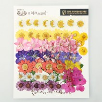 압화 꽃모음 - C타입 화원 꽃모음