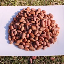 영주 땅콩 햇땅콩 피땅콩 고소한 깐땅콩 1kg, 황가네 깐땅콩 1kg