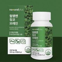 징코라이드 함유 인지력 뇌에 좋은 영양제 감퇴 부모님 저하개선 뇌영양제 은행엽 기억력 어머니 깅코 저하