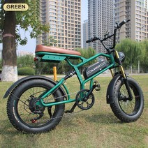 전기자전거 전기자전거렌탈 전기 자전거 복고풍 EBIKE 20*4.0 인치 48V 배터리 크로스 컨트리 오토바이, 01 green, 02 500W18Ah