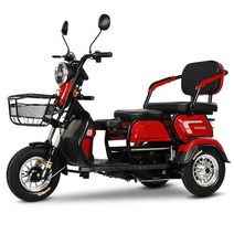 3륜 바이크 노약자 이동 전동차 전기차 노인용 스쿠터, 48V +600W+22AH+90마일