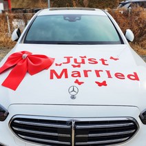 스마일컴퍼니 웨딩카 가전 자동차 선물 장식 인테리어 큐빅 빅리본 왕리본, 큐빅무드리본 아트문구세트 레드