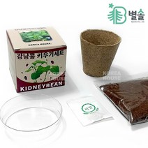 초등학교 미니 식물 키우기 세트 강낭콩 관찰일지