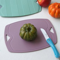 실리콘 이유식도마 칼집안나는 항균 살균 위생 국민 미니 자취생 주방 캠핑용 친환경 낚시, 그린