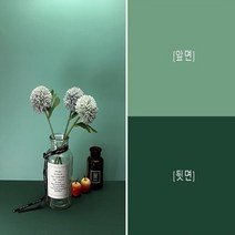양면 PVC 2in1 그라데이션 확산판 판 흰색 크로마키 젤라틴 인물 스크린 감성 장비 촬영 배경지 조명 방송 포토 배경 천 미니 스튜디오 사진 제품 반사판 음식 휴대용 소품 홈, 009모란디스티커
