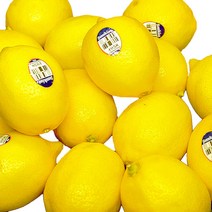 [썬키스트레몬에이드15l] 해태 썬키스트 레몬에이드 1.5L x 4 낱개, 단품