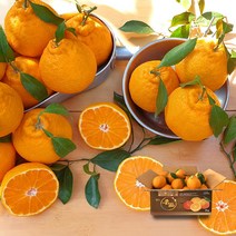 [제주열매] 제주 한라봉 천혜향 실속형 2.5kg 4.5kg, 1box, 한라봉 실속형(9-12과)-2.5kg