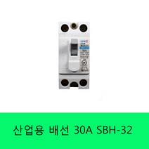 서울산전 배선용 차단기 SBH-32 15A/20A/30A, 20A