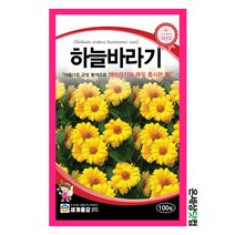 하늘바라기 100립/ 꽃씨 화단 거짓해바라기씨앗 하늘바라기씨앗
