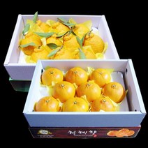 한아름드린 농협 한라봉3kg8-9과/천혜향3kg10과내 묶음세트, 1
