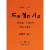 도정기, 대한불교천안종