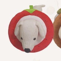 푹신한 쿠션형 중성화수술 강아지 넥카라M 애견깔대기 소형견 강아지넥카라
