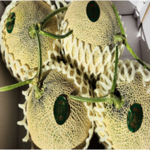 세지메론 멜론 세론이 특등급 고당도 선물세트 1수 2수 4수 선물세트, 특1수(1.25kg내외)