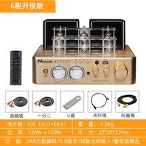 진공관 앰프 하이파이 스피커 프리 블루투스 오디오 세트, 6 튜브 하이파이 튜브 앰프 골드