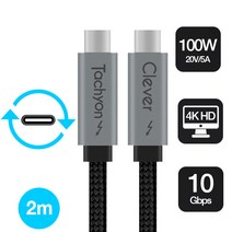 클레버타키온 PD USB 3.1 Gen2 C타입 100W 고속충전케이블 충전 케이블, 본품 200cm