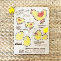 강낭콩의한살이 식물의한살이 초등과정 유아 체험 꾸미기 재료, 나비