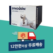 사이노퀸 시노퀸 대형견 대형 관절영양제 120 캡슐
