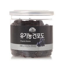 유기농 건포도 230g 251072