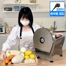 양배추슬라이서 기계 야채 절단기 양파슬라이스 채써는기계 채썰기 업소용 식당, 5.채썰기칼날 3.5mm(단품)