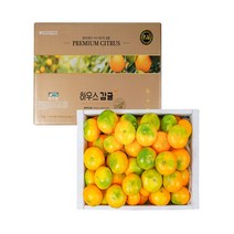 제주농협 최상품엄선 하우스감귤 (GAP우수관리) 1.8kg / 10월10일부터 출하, 로얄과, 1개