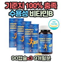 수용성 비타민 캐나다 나이아신 판토텐산 멀티비타민 40대 50대 60대 엽산 비오틴 영양제 비타민b12 b6 비타민비군 비타민B컴플렉스 활력 보충제 활성 비타민 조혈비타민 복합비타민