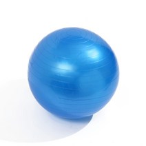 인생 애호감 안티버스트 짐볼 5가지 컬러 65cm, 푸른 색