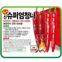 신슈퍼엄청나 1200립 하우스 재배 고추씨앗 종자 바이러스 내병성 강한 매운맛 대과종 다수확 고추파종