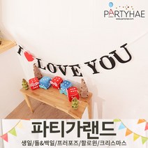 (주)파티해 파티 가랜드2 D-G - 생일 프로포즈 기념일 캠핑 홈데코 조화 여름 축하 환영, F09.펠트레터배너-ILOVEYOU