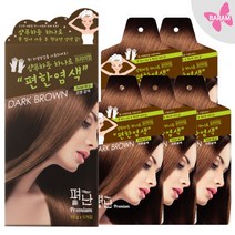 펴난 5분 간편한 스피드 헤어컬러 염색약 5팩 4종 택1, 다크브라운(진한갈색) 5팩, 1개