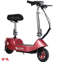 접이식전기자전거 작은 돌고래 미니 접이식 배터리 자동차 전기 자전거 휴대용 스쿠터, [04] 닦았 베어 카, [05] 컬러 골드