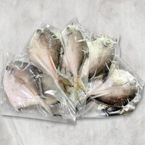 병어 반건조 손질 5미 1kg 1미당 200g 신안 국내산 개별 진공포장, 반건조 병어 5미 1kg