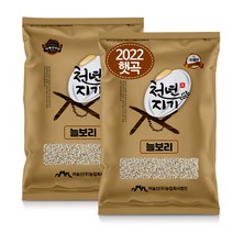 천년지기 늘보리쌀 5kg 2022년산 늘보리 햇보리쌀, 1포