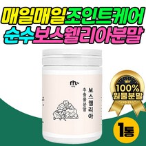 100% 무첨가 인도 보스웰리아 추출 가루 무릅 조인트 케어 허리 손목 유항 나무 수액 마시는 보스벨리아 BOSWELLIA 50대 60대 70대 중년 여성 남성 드링킹 음료 추천
