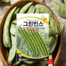 그린빈스 종자 씨앗 30립 곡물 채두 씨앗종자 동남아콩