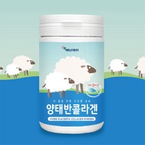 양태반 콜라겐 물에타먹는 콜라겐 단백질 태반 콜라겐 파우더 230g