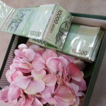 용돈봉투 지폐봉투 돈봉투 돈비닐 20매입, 상세페이지 참조