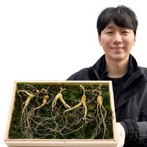 바른농수산 100% 프리미엄 산양삼 강원도 홍천 7년 12년 3뿌리 5뿌리, 실속형 7년근 2뿌리(1상자) - 보자기포장