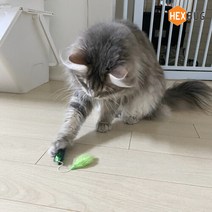 [헥스버그] 나노 캣토이(3030)