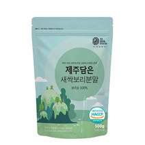 제주 새싹보리 분말 HACCP 인증 국산 어린 새싹 보리 잎 보리새싹 가루 대용량 500g, 1개, 새싹보리 잎  500g