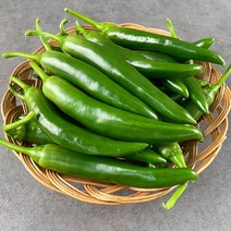 국내산 오이맛고추 10kg 5kg 2kg 1kg내외 오이고추 상품 특품, 2kg 특품, 1개