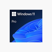 MS 코리아 정식정품 윈도우 11 프로 Windows 11 Pro FPP 한글