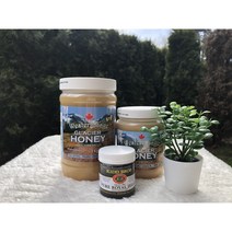 [해외직구캐나다공식구매대행업체] 웨스턴 세이지 Western Sage 캐나다 로키 자연산 석청꿀 아이스허니 500g 1kg, 시나몬, 5개
