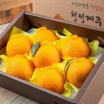 고당도 제주 한라봉 3kg 특품 당도보장, 가정용 한라봉3kg(중대과), 1개