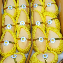 [달달쫀득] 항공직송 고당도 망고 태국망고 골드망고, 1개, 망고 4kg (8-12과)